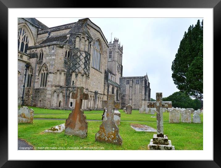 Christchurch Priory 2 Framed Mounted Print by Nathalie Hales