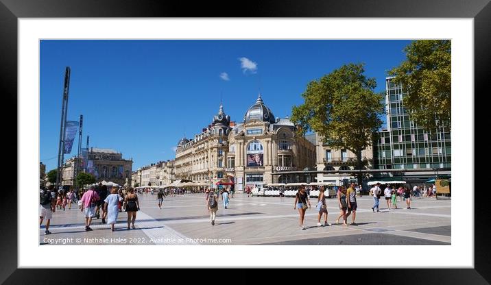 Place de la Comedie, Montpellier Framed Mounted Print by Nathalie Hales