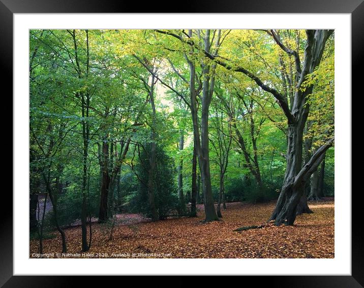 Wimbledon Common Framed Mounted Print by Nathalie Hales