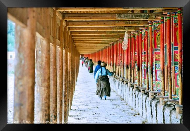 Pilgrimage to Labrang Monastery Framed Print by Nathalie Hales