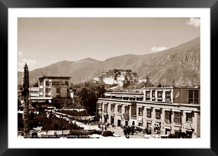 Potala Palace , Lhasa Framed Mounted Print by Nathalie Hales