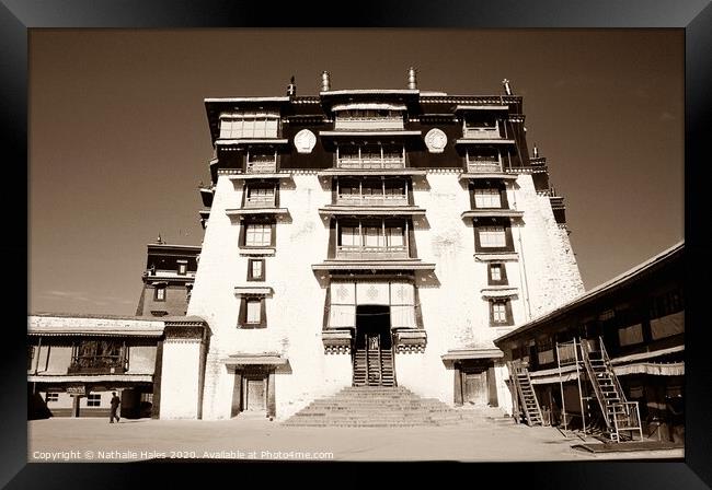 Potala Palace entrance, Lhasa Framed Print by Nathalie Hales