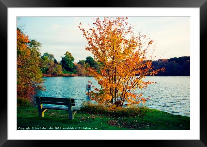 Fall, New England Framed Mounted Print by Nathalie Hales