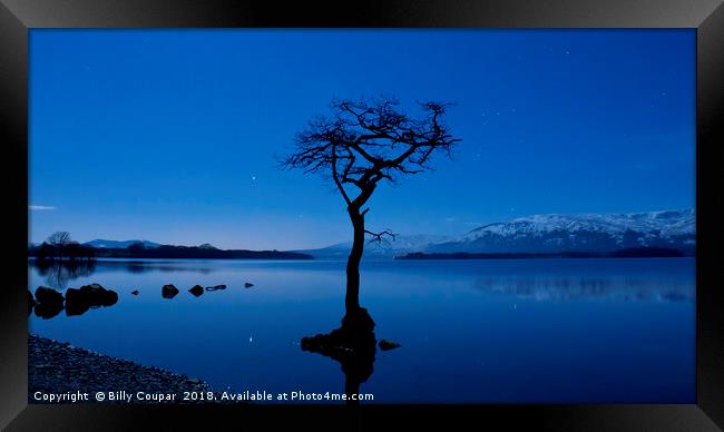 The Lone Tree Framed Print by Billy Coupar