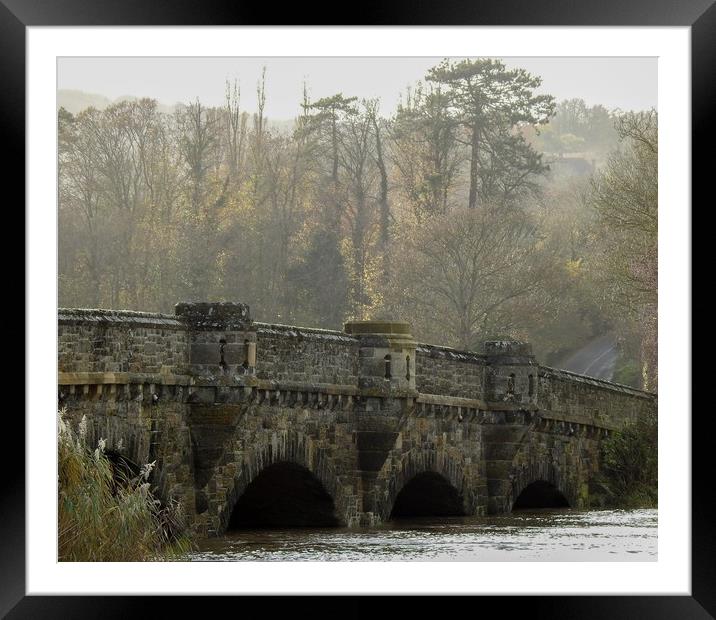 Bridge in Amberley Framed Mounted Print by Debbie Payne
