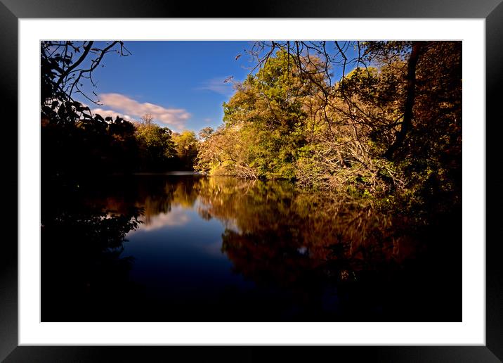 Autumn Colours  Framed Mounted Print by Neil Greenhalgh