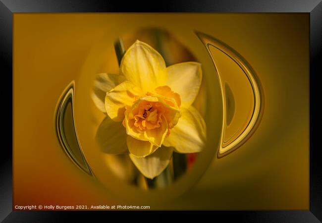 Holly burgess,Yellow Daffodil, made in to Art deco Framed Print by Holly Burgess