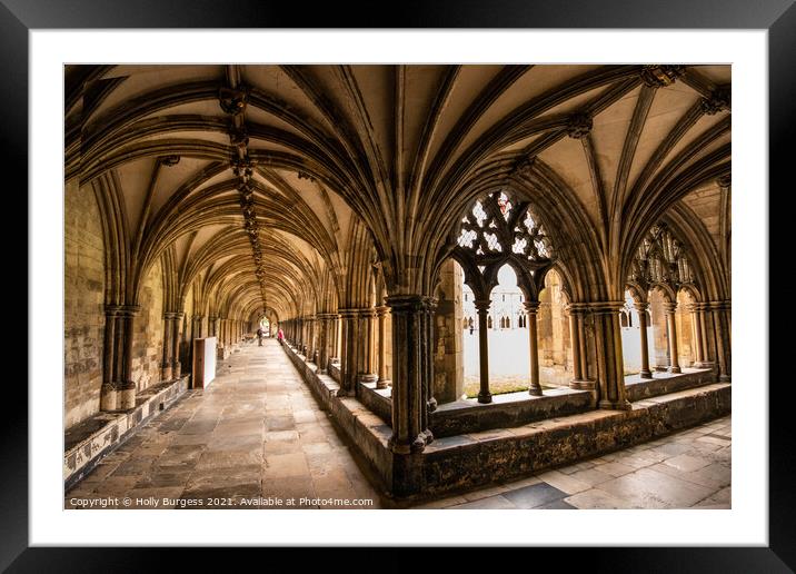 Norwich Cathedral's Unrivalled Cloisters Framed Mounted Print by Holly Burgess
