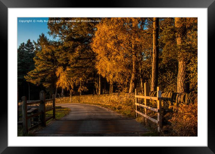 Stanage Edge Derbyshire a Autumn day, golden leaves and walks  Framed Mounted Print by Holly Burgess