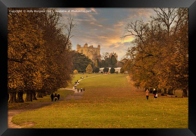 Autumn's Golden Embrace at Wollaton Park Framed Print by Holly Burgess