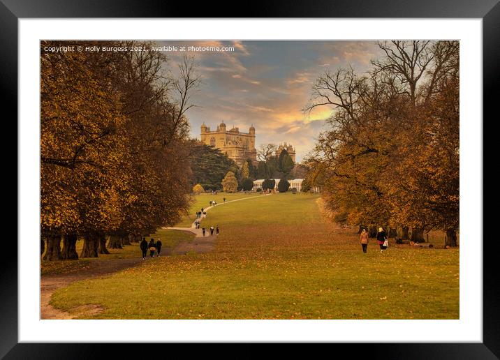 Autumn's Golden Embrace at Wollaton Park Framed Mounted Print by Holly Burgess