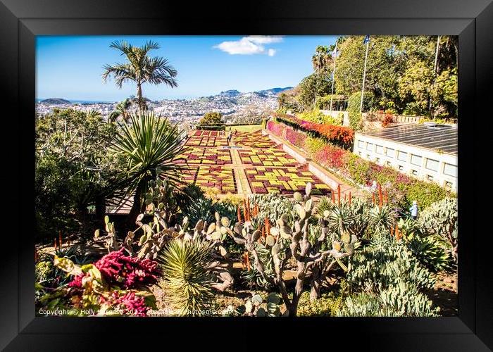 Madeira Botanical Gardens, Funchal  Framed Print by Holly Burgess