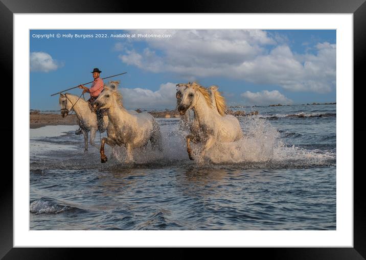 'Seaside Ballet of Camargue Equines' france  Framed Mounted Print by Holly Burgess