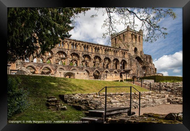 Echoes of Augustinian Magnificence Jedburgh  Framed Print by Holly Burgess