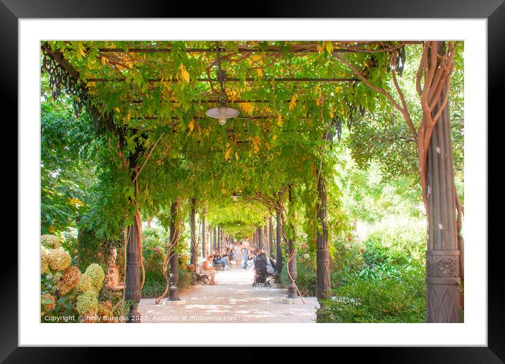 Royal Garden Venice Piazza San Marco. Framed Mounted Print by Holly Burgess