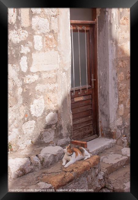 Cat sitting on the step in Dubrovnik Croatia  Framed Print by Holly Burgess
