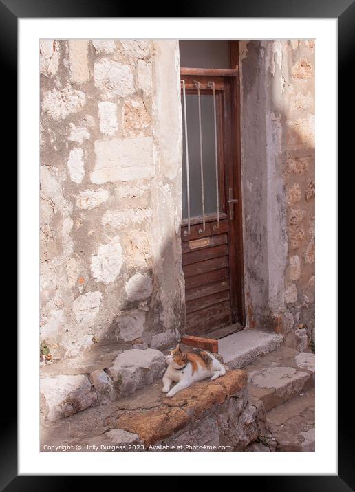 Cat sitting on the step in Dubrovnik Croatia  Framed Mounted Print by Holly Burgess
