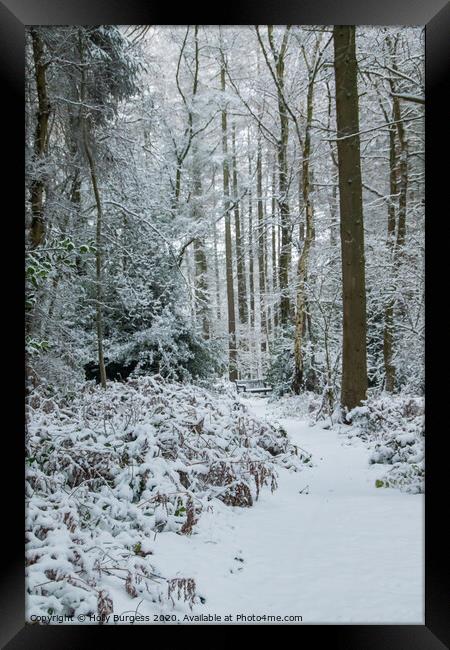 Winter in the Forest  Framed Print by Holly Burgess