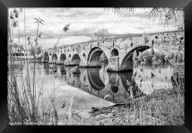 BEZIERS BRIDGE  Framed Print by Holly Burgess