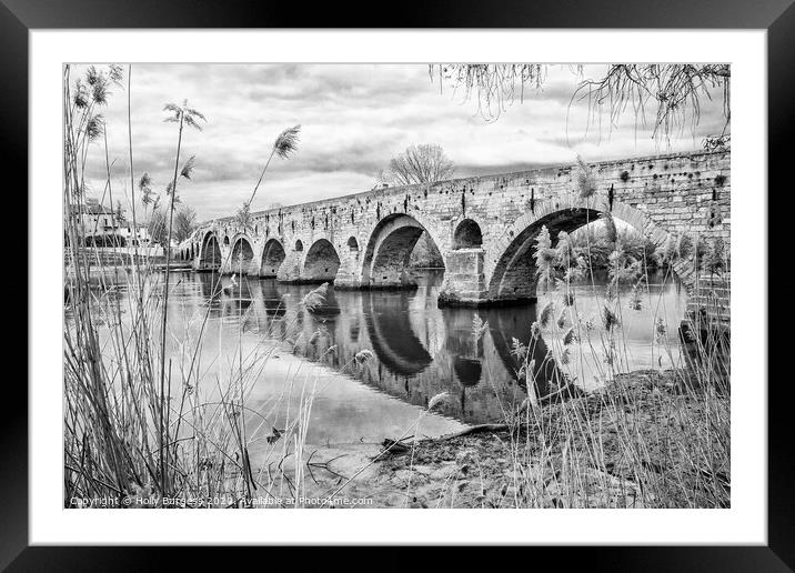 BEZIERS BRIDGE  Framed Mounted Print by Holly Burgess