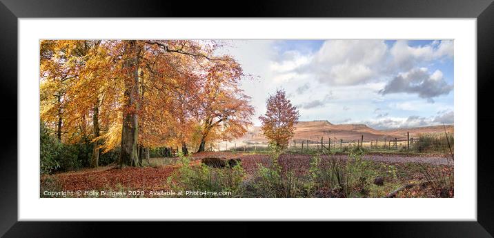 LONGSHAW WOODS,  Framed Mounted Print by Holly Burgess
