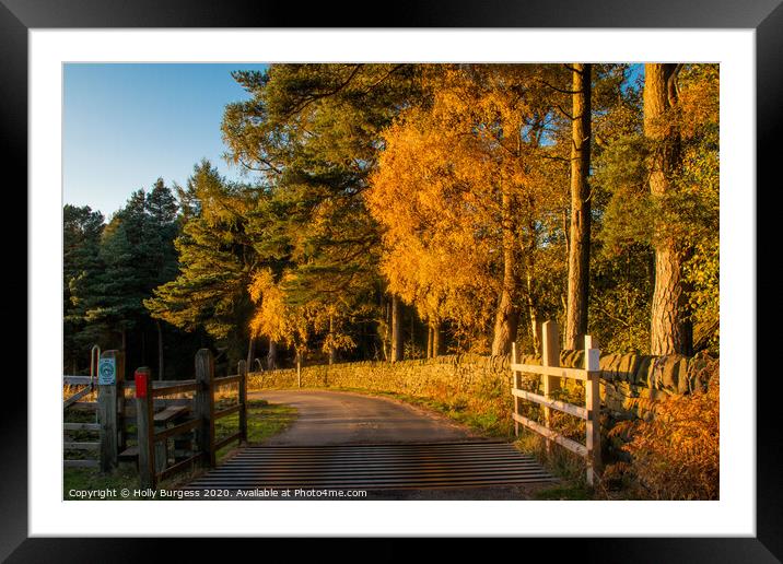 'Stanage Edge: Autumn's Golden Symphony' Framed Mounted Print by Holly Burgess