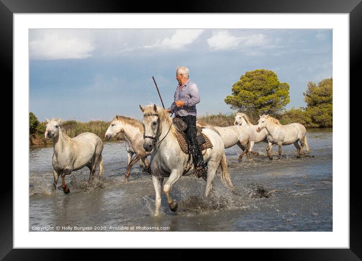 Captivating Camargue: A Protected Paradise Framed Mounted Print by Holly Burgess