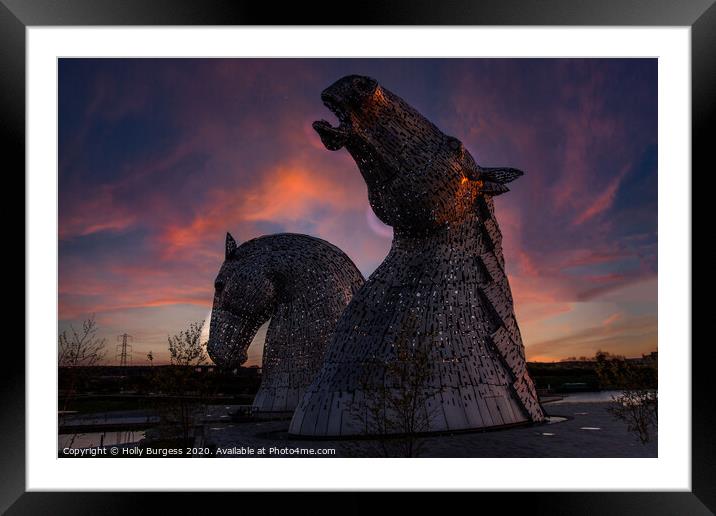 Kelpie Horses head Scotland  Framed Mounted Print by Holly Burgess