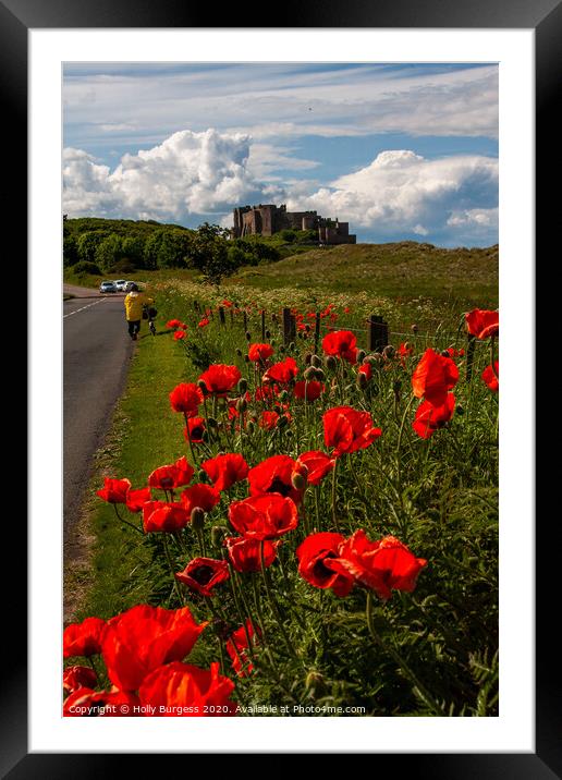 Bamburgh Castle Northumberland  Framed Mounted Print by Holly Burgess