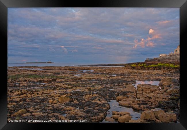 Coquet island looking from Amble by the sea  Framed Print by Holly Burgess