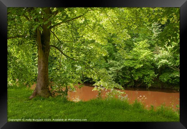 River, Eden, Appleby Cumbria  Framed Print by Holly Burgess