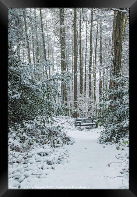 Winter's Embrace: Snow-Cloaked Forest Vista Framed Print by Holly Burgess