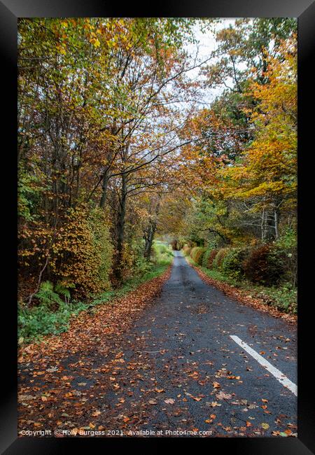 Kielder Forest Drive way in Autumn Northumberland  Framed Print by Holly Burgess
