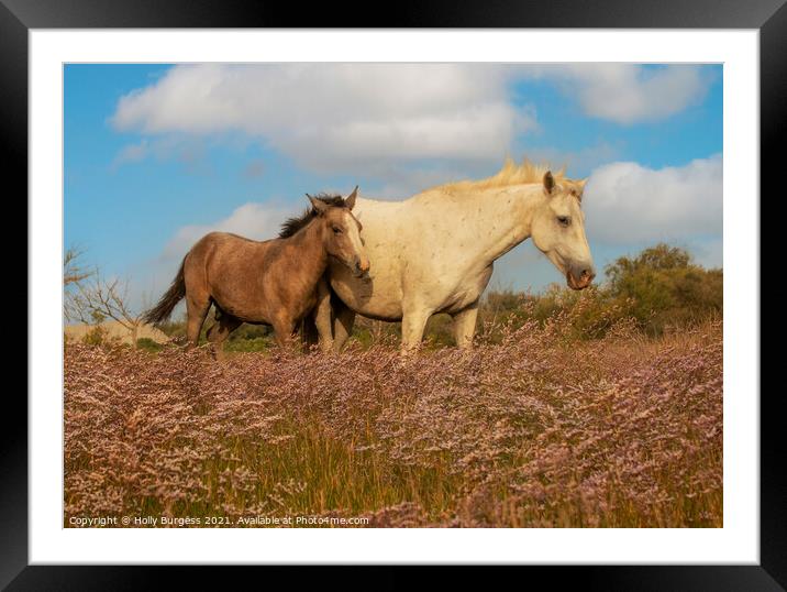 Graceful Camargue Mare and Foal Amidst Heather Framed Mounted Print by Holly Burgess