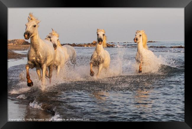 'Dancing Camargue Horse: France's Oceanic Ballet' Framed Print by Holly Burgess