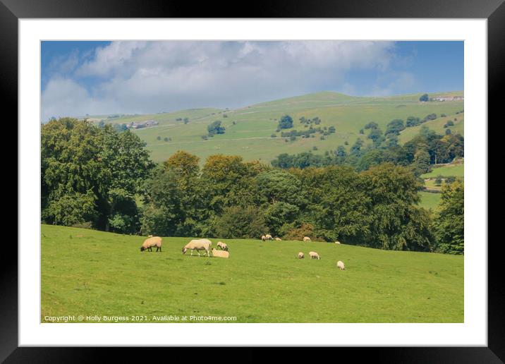 Derbyshire Hills  Framed Mounted Print by Holly Burgess