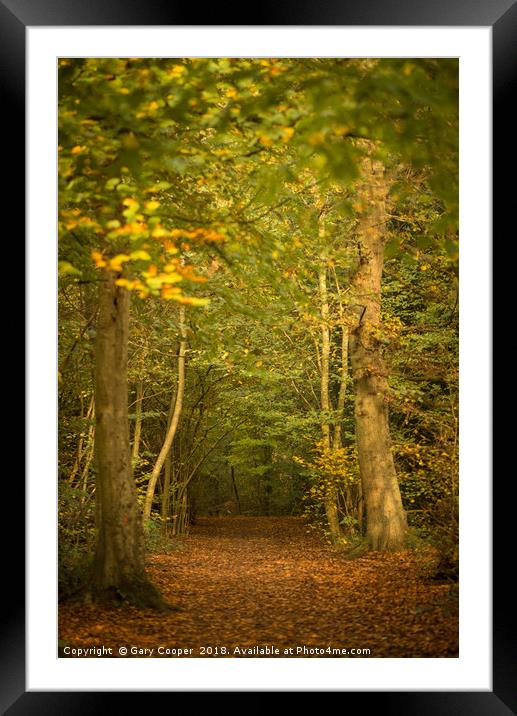 Autumn Walks High Elms Framed Mounted Print by Gary Cooper