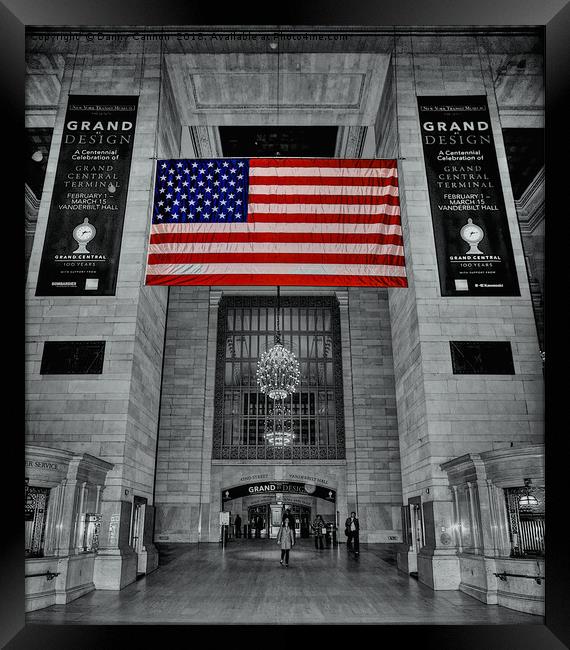 Grand Central Station Framed Print by Danny Cannon