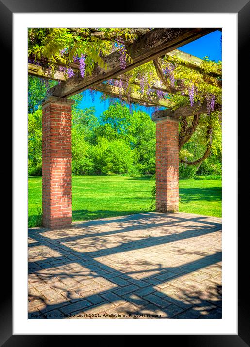 Under arbour of wisteria #2 Framed Mounted Print by Claudio Lepri