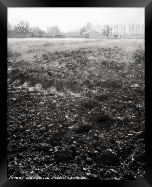 The awakening of the land in March _ monochrome Framed Print by Claudio Lepri