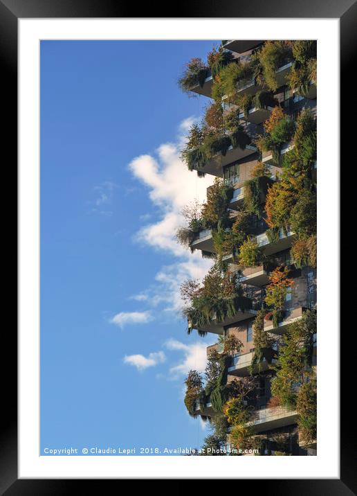 Vertical garden with cloud Framed Mounted Print by Claudio Lepri