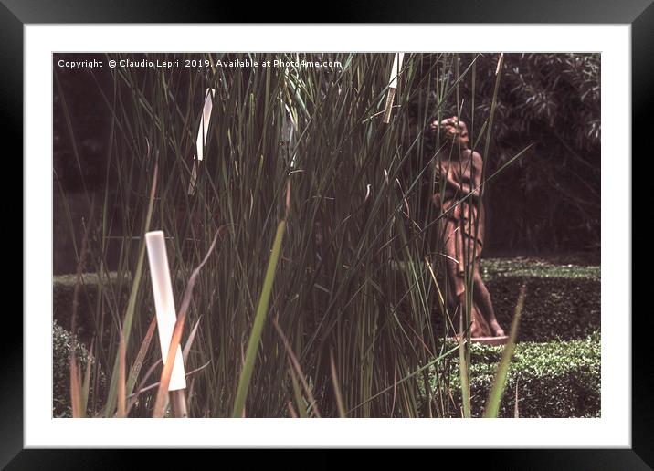 Light Vision in the Garden #4 Framed Mounted Print by Claudio Lepri