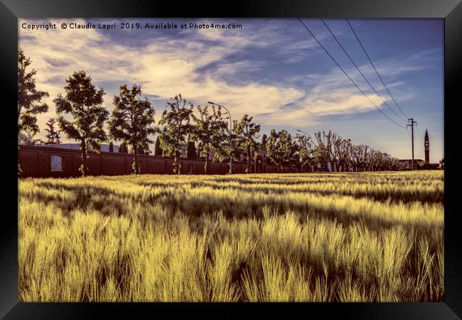 City wheatfield Framed Print by Claudio Lepri