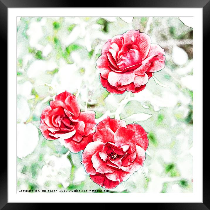 Dappled red roses Framed Mounted Print by Claudio Lepri