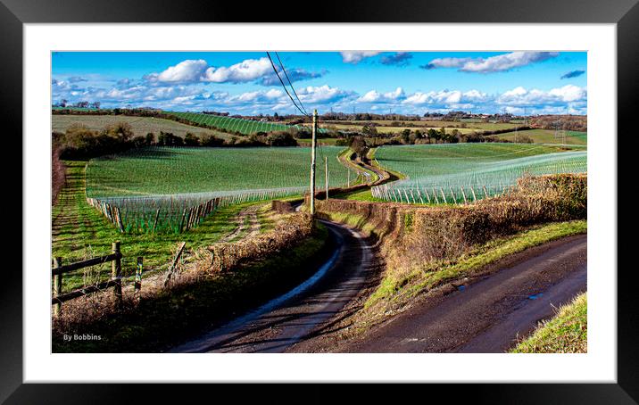 A Winding Road Framed Mounted Print by robin whitehead