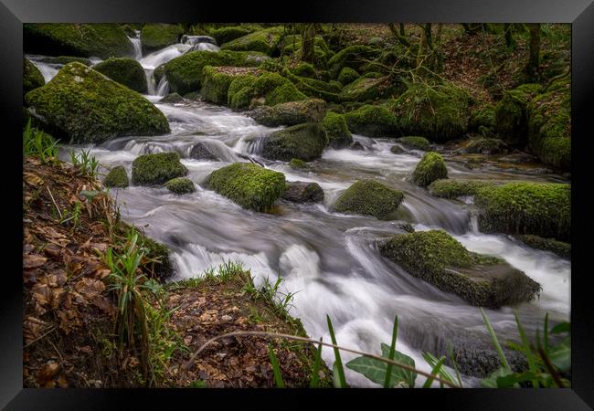 kennal vale woods Framed Print by craig parkes