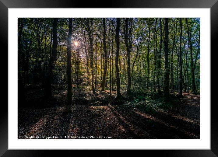 Tehidy Woods  Framed Mounted Print by craig parkes