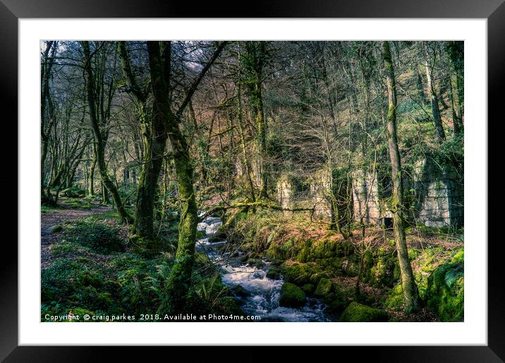 kennal vale woods Framed Mounted Print by craig parkes