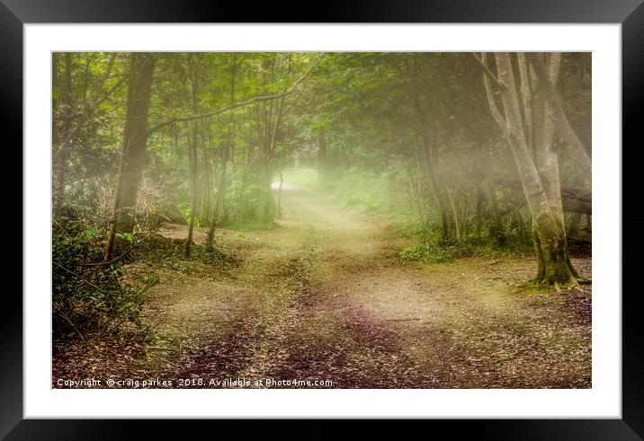 Tehidy Woods covered in mist Framed Mounted Print by craig parkes