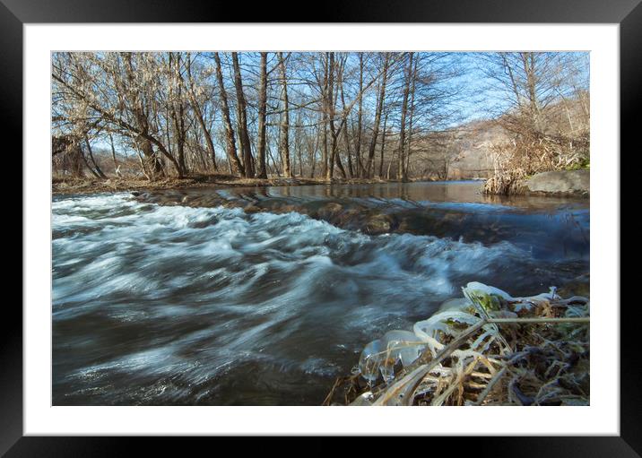 Jollity Framed Mounted Print by Emil Vlajic